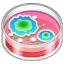 Petri kabı Emoji U+1F9EB Petri kabı Emoji U+1F9EB