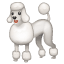 Kanış köpeği emoji U+1F429 Kanış köpeği emoji U+1F429