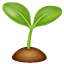 Fidan emoji U+1F331 Fidan emoji U+1F331