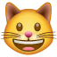Ağzı açık olan gülümseyen kedi suratı U+1F63A