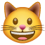 Ağzı açık olan gülümseyen kedi suratı U+1F63A Ağzı açık olan gülümseyen kedi suratı U+1F63A